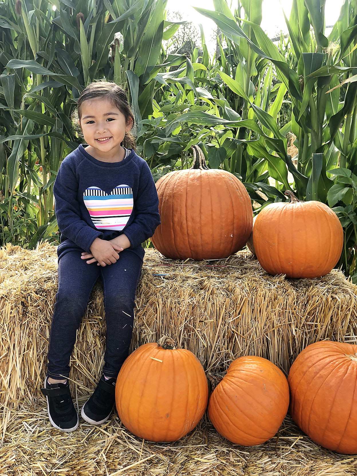 Pumpkin Patch